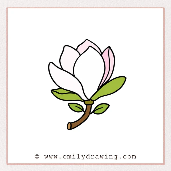 Preview of Magnolia Flower drawing